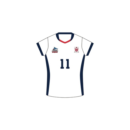 排球球衣 - DHHQ Sharks