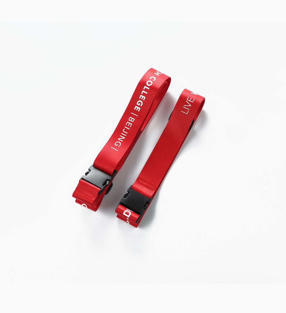 Belt and luggage