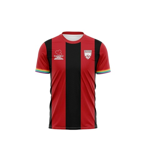 Women's Short Sleeve Jersey-Stripy
